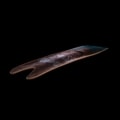 Powder Shark 140 Base Contours